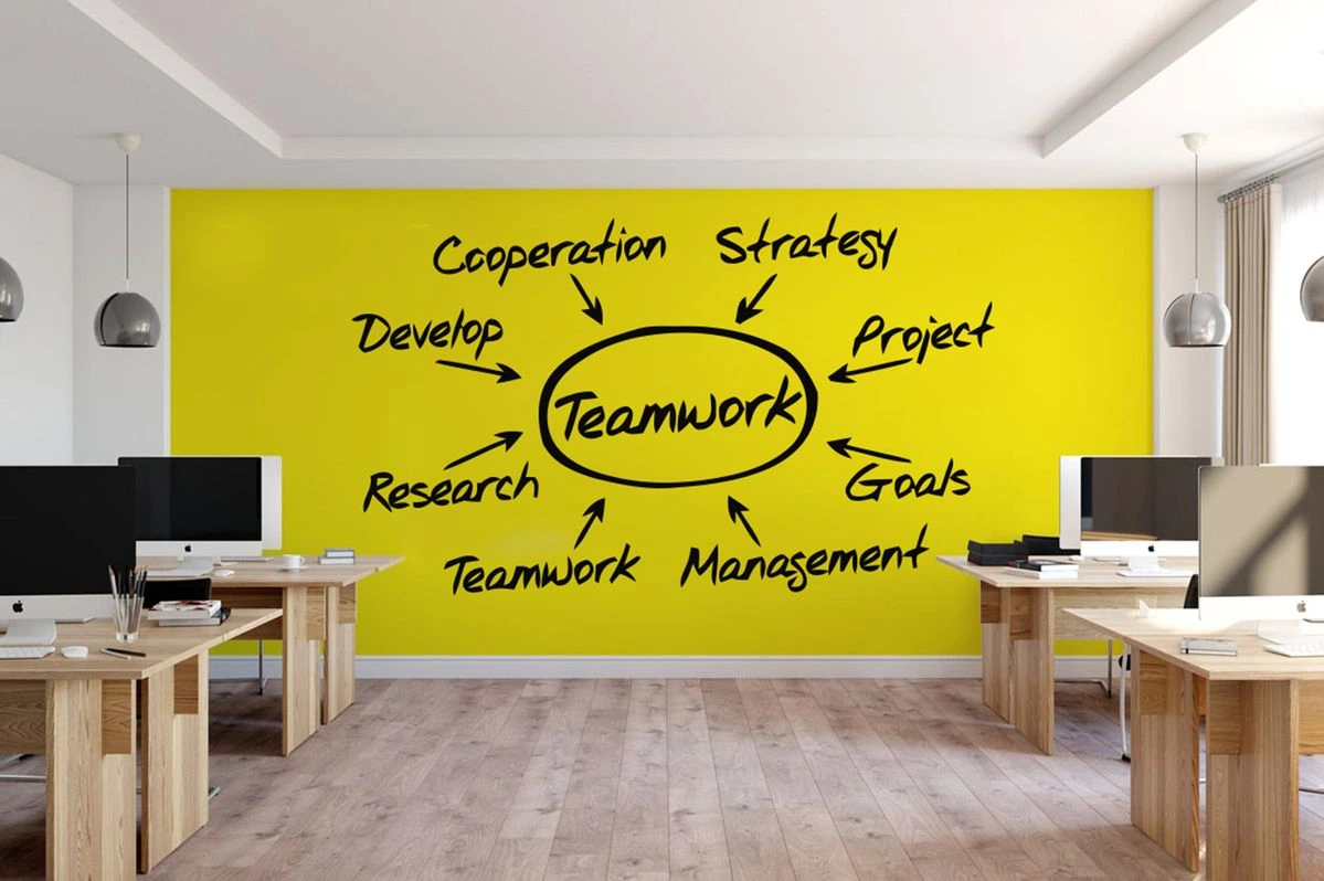 FBN Membership & Networking